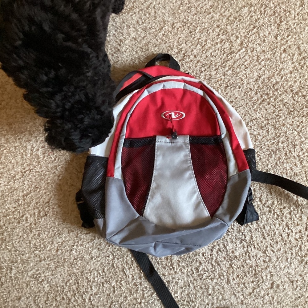 Red backpack